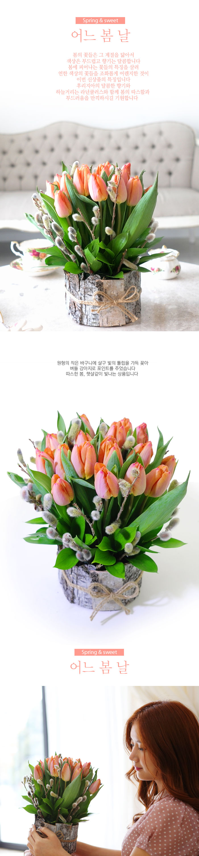 [] Spring & Sweet -   (Ʃ︳󺯰)  ɹ