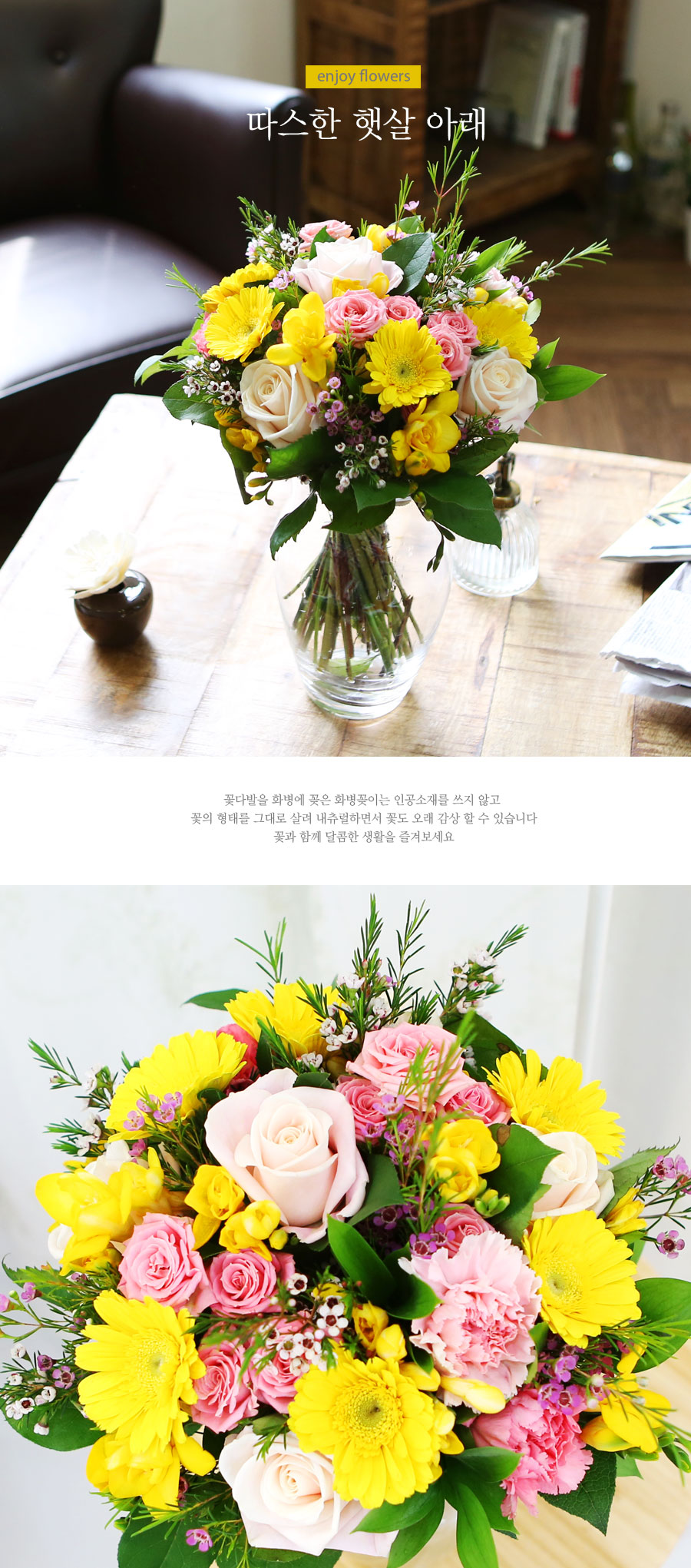 [/ fourseasons flower /ɻ]  ޻ Ʒ  ɹ