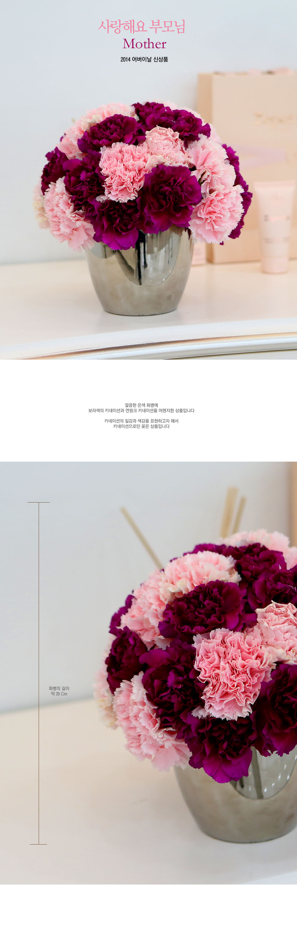 []ؿ θ - Parents  ɹ