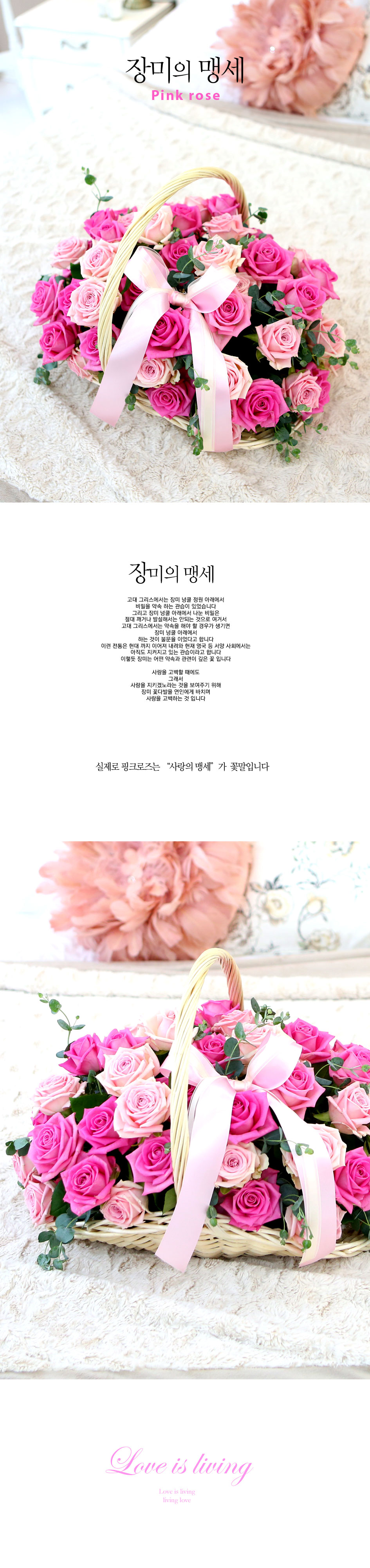 Àå¹ÌÀÇ ¸Í¼¼ - Pink rose ²ÉÁý ²É¹è´Þ