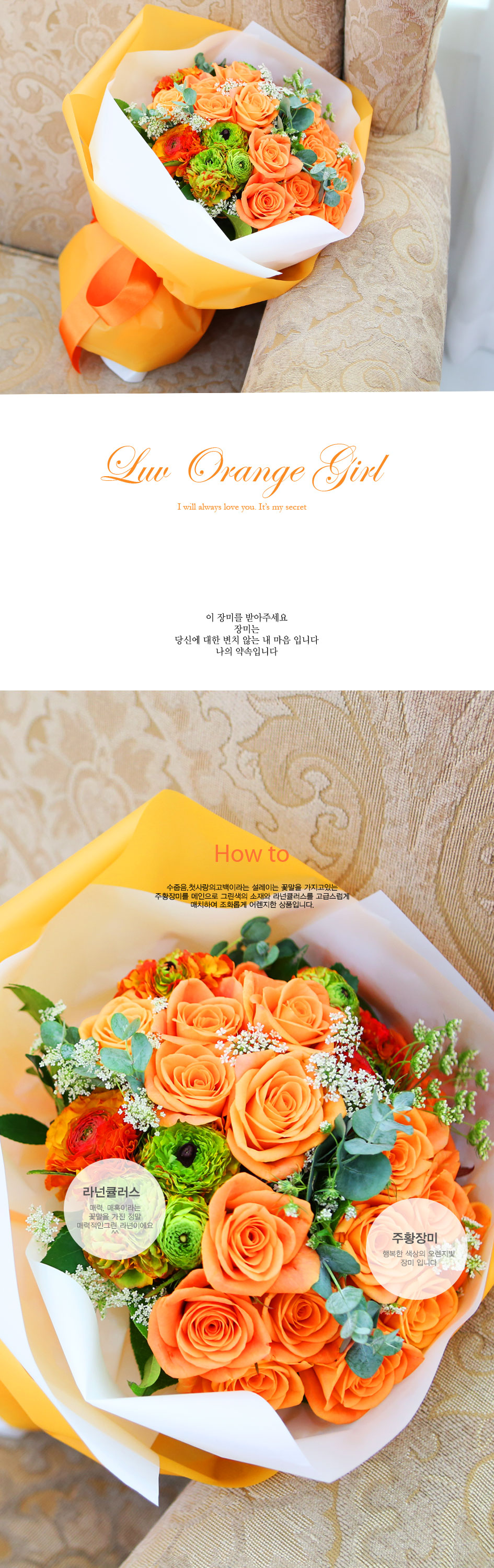  ͼ - Luv Orange Girl