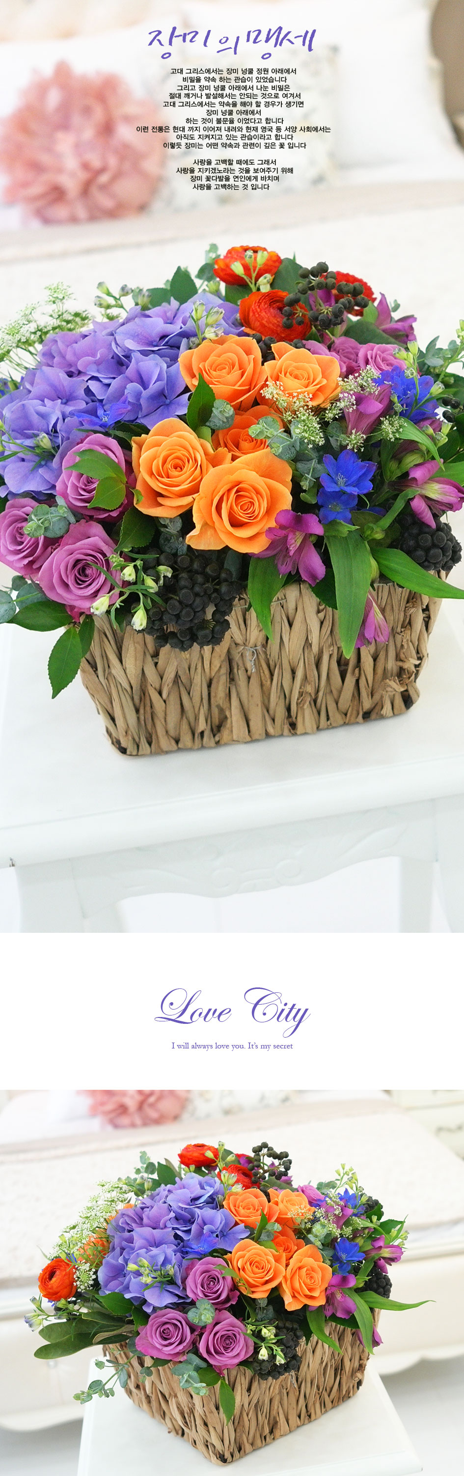 [] ͼ - Love City  ɹ