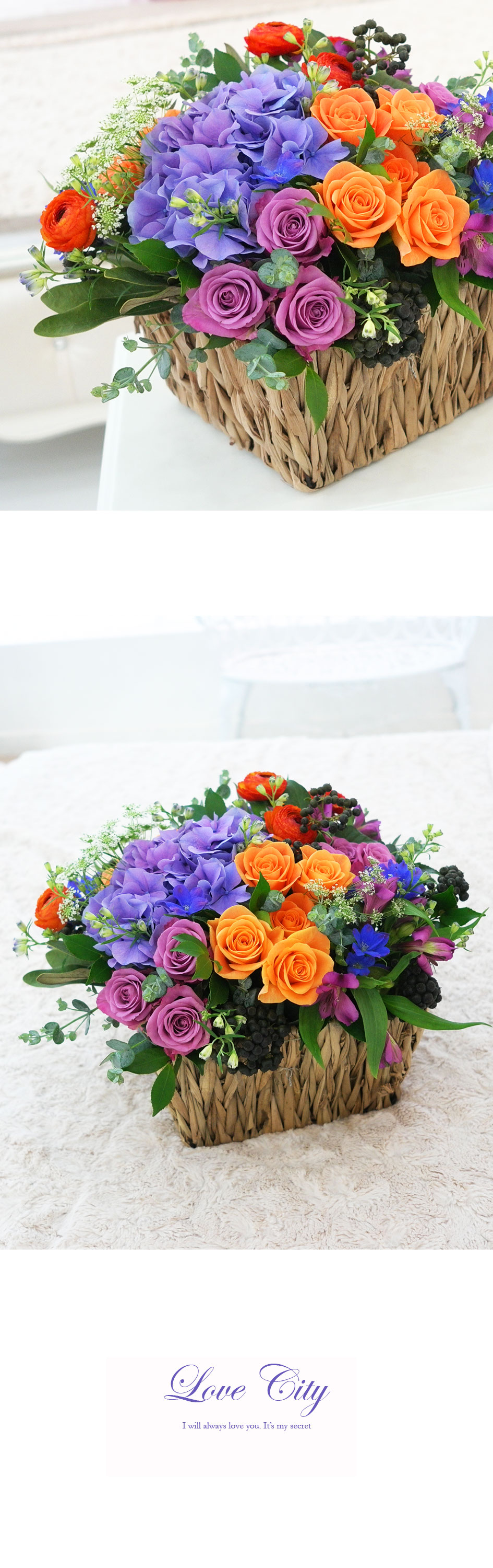 [] ͼ - Love City  ɹ