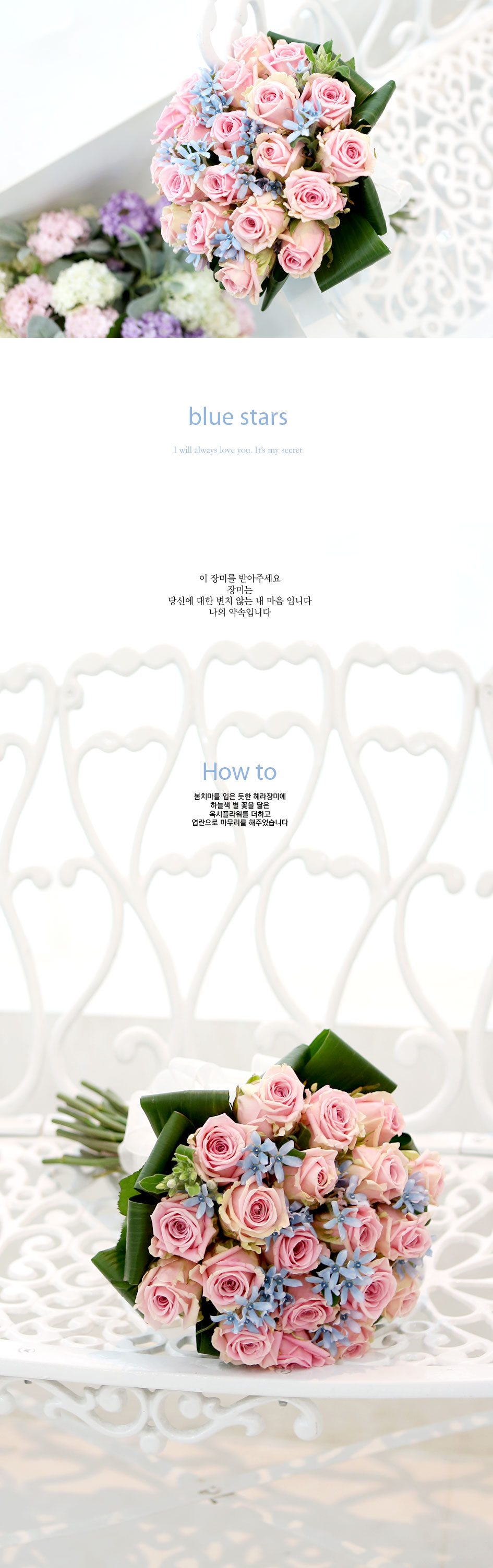 Àå¹ÌÀÇ ¸Í¼¼ - blue stars  --- º½,°Ü¿ï¿£ ºí·ç¿Á½Ã ´ë½Å ´Ù¸¥²ÉÀ¸·Î ´ëüµË´Ï´Ù ²ÉÁý ²É¹è´Þ