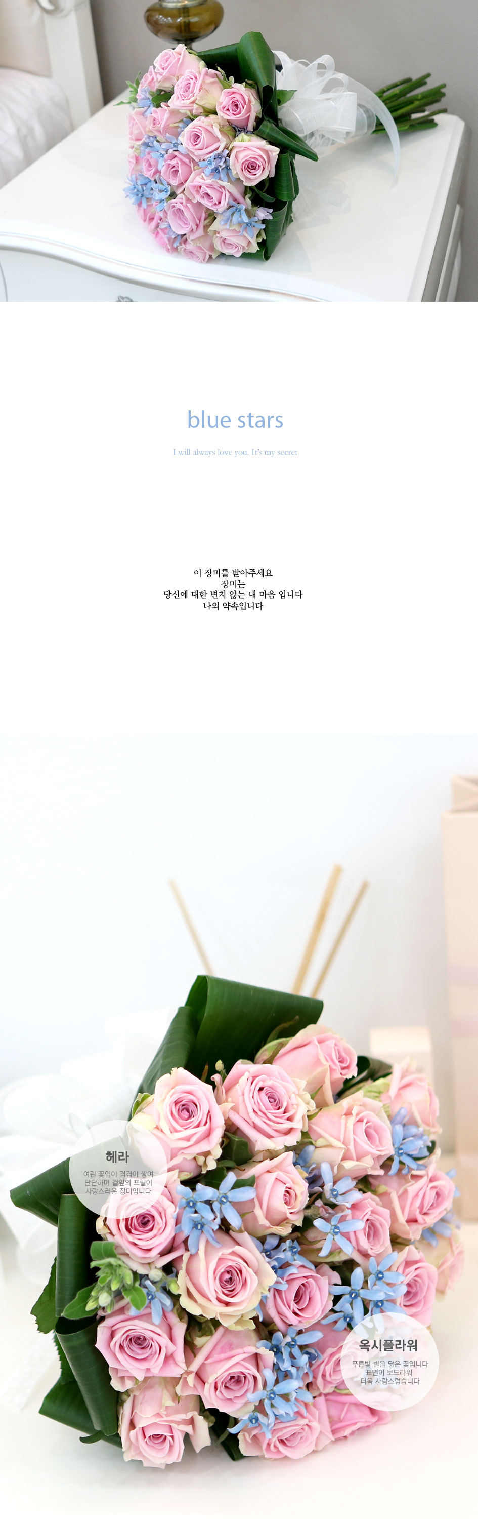 Àå¹ÌÀÇ ¸Í¼¼ - blue stars  --- º½,°Ü¿ï¿£ ºí·ç¿Á½Ã ´ë½Å ´Ù¸¥²ÉÀ¸·Î ´ëüµË´Ï´Ù ²ÉÁý ²É¹è´Þ