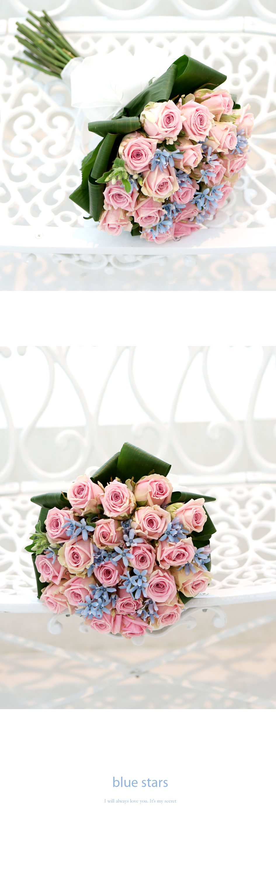 Àå¹ÌÀÇ ¸Í¼¼ - blue stars  --- º½,°Ü¿ï¿£ ºí·ç¿Á½Ã ´ë½Å ´Ù¸¥²ÉÀ¸·Î ´ëüµË´Ï´Ù ²ÉÁý ²É¹è´Þ