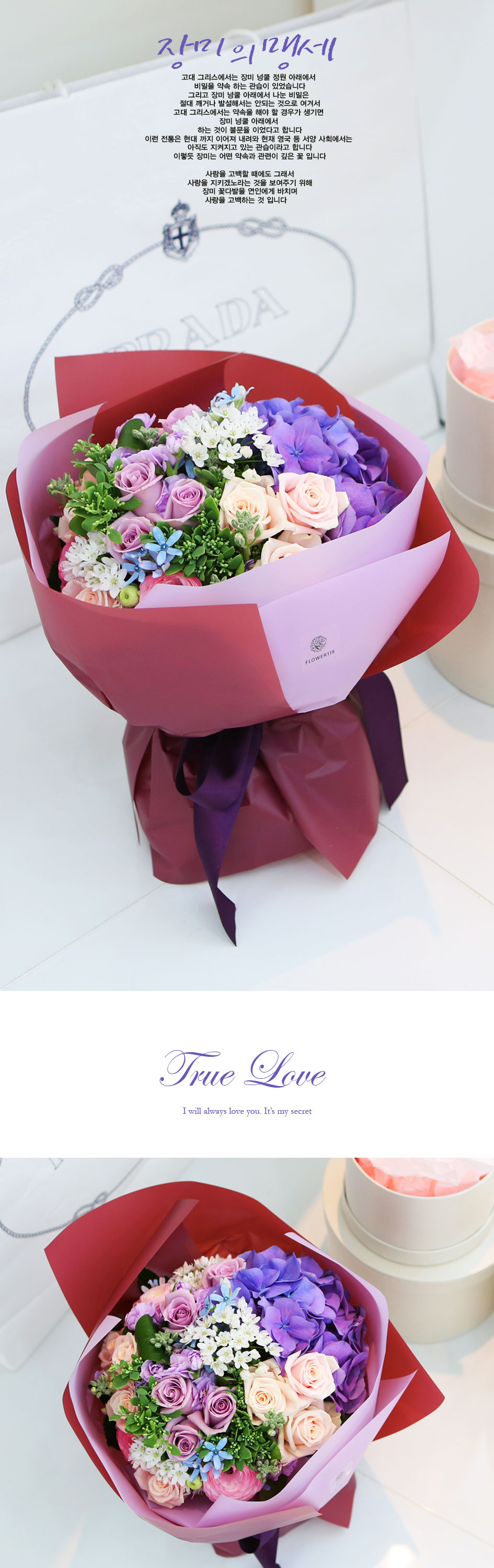 [/] ͼ - True Love  ɹ