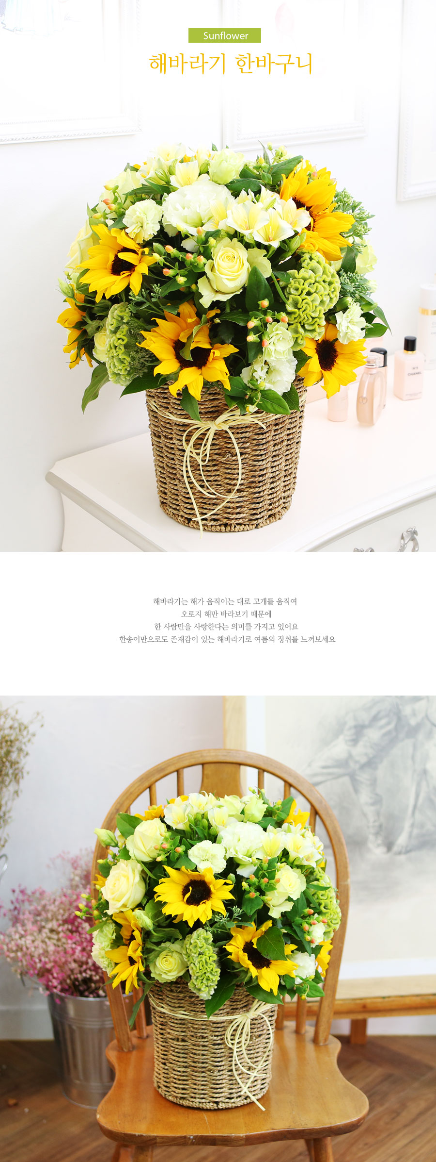 sunflower - عٶ ѹٱ  ɹ