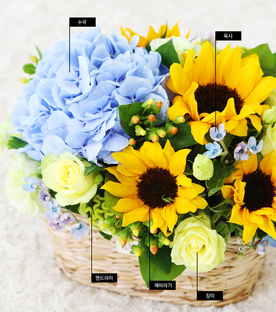 sunflower - di santorini(µð »êÅ丮´Ï)-°Ü¿ï¿¡´Â ÇØ¹Ù¶ó±â ´ë½Å ´Ù¸¥²ÉÀ¸·Î ´ëü