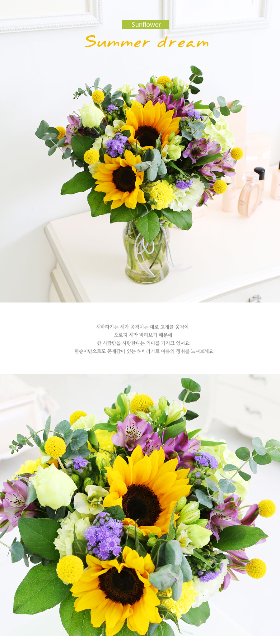 sunflower - summer dream