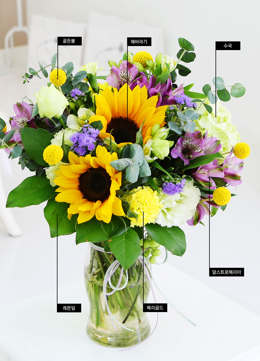 sunflower - summer dream