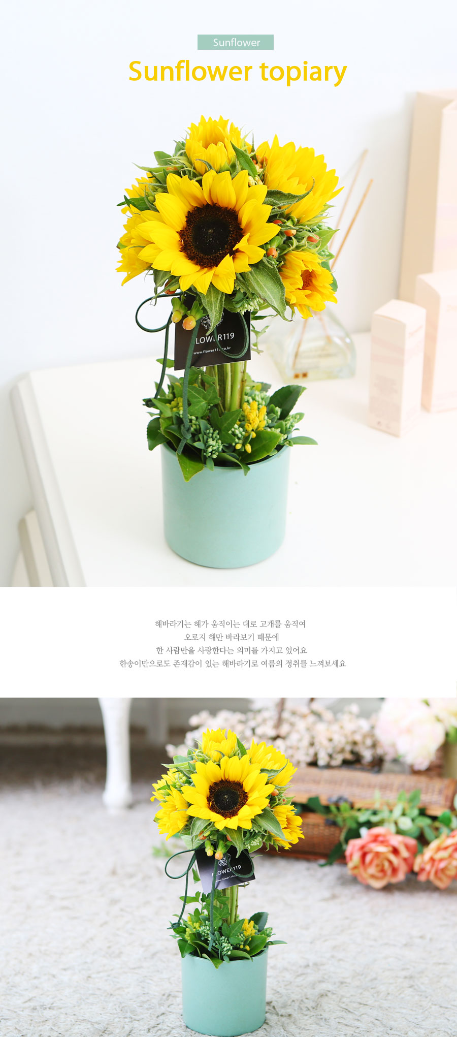 sunflower - sunflower topiary (*ÀϺÎÁö¿ª ȱ⺯µ¿)