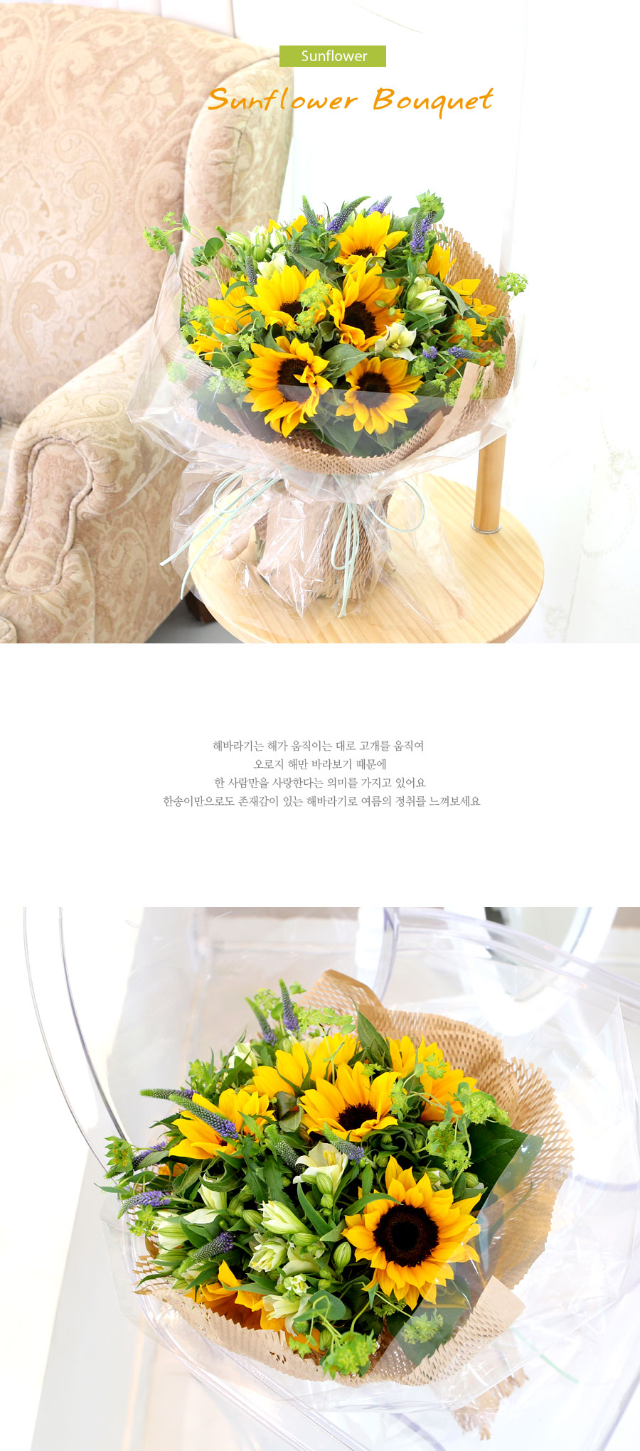 sunflower - Sunflower Bouquet  ɹ