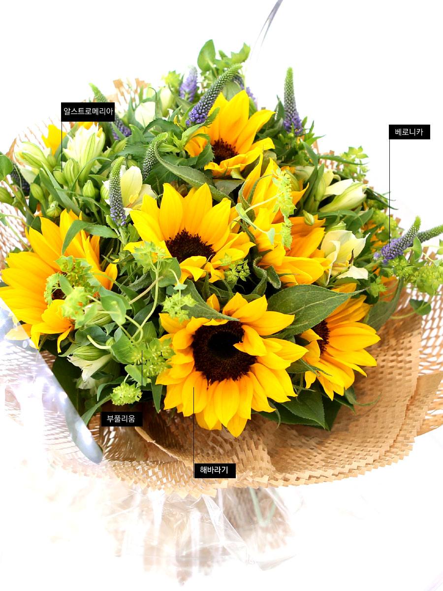 sunflower - Sunflower Bouquet  ɹ