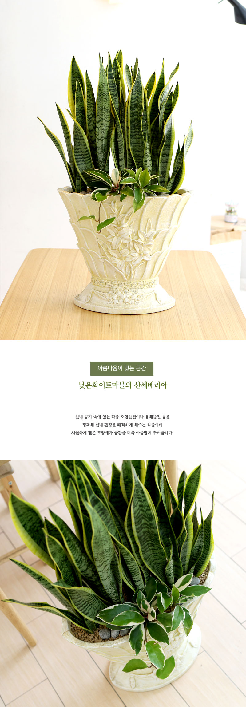 Ƹٿ ִ  - ȭƮ 꼼  ɹ