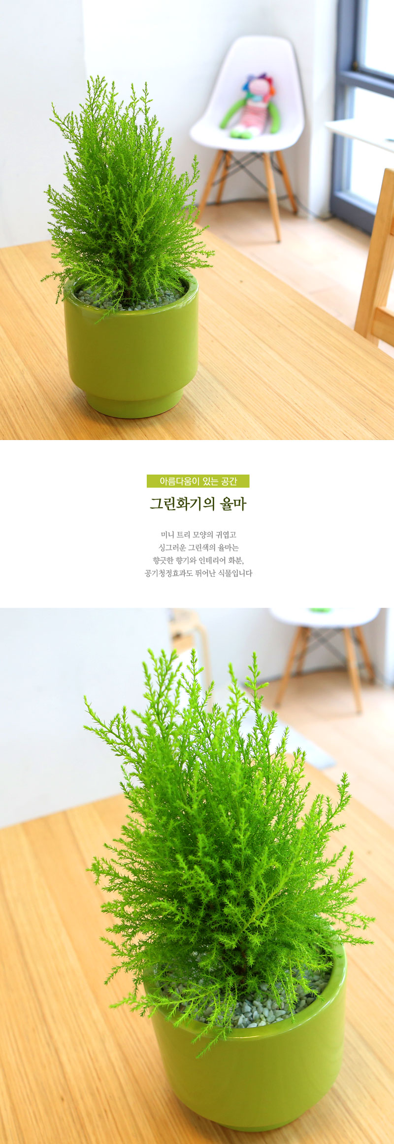 []Table deco. ׸ȭ  (*ȭ⺯)  ɹ