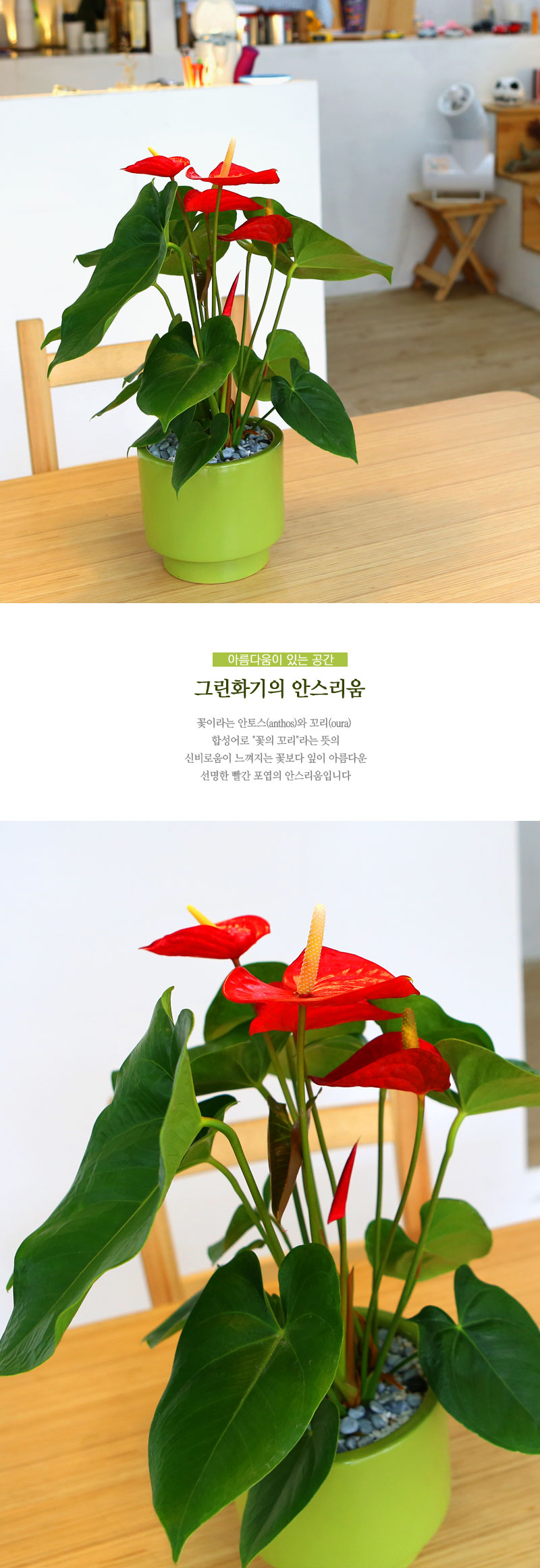 []Table deco. ׸ȭ Ƚ (* ȭ )  ɹ