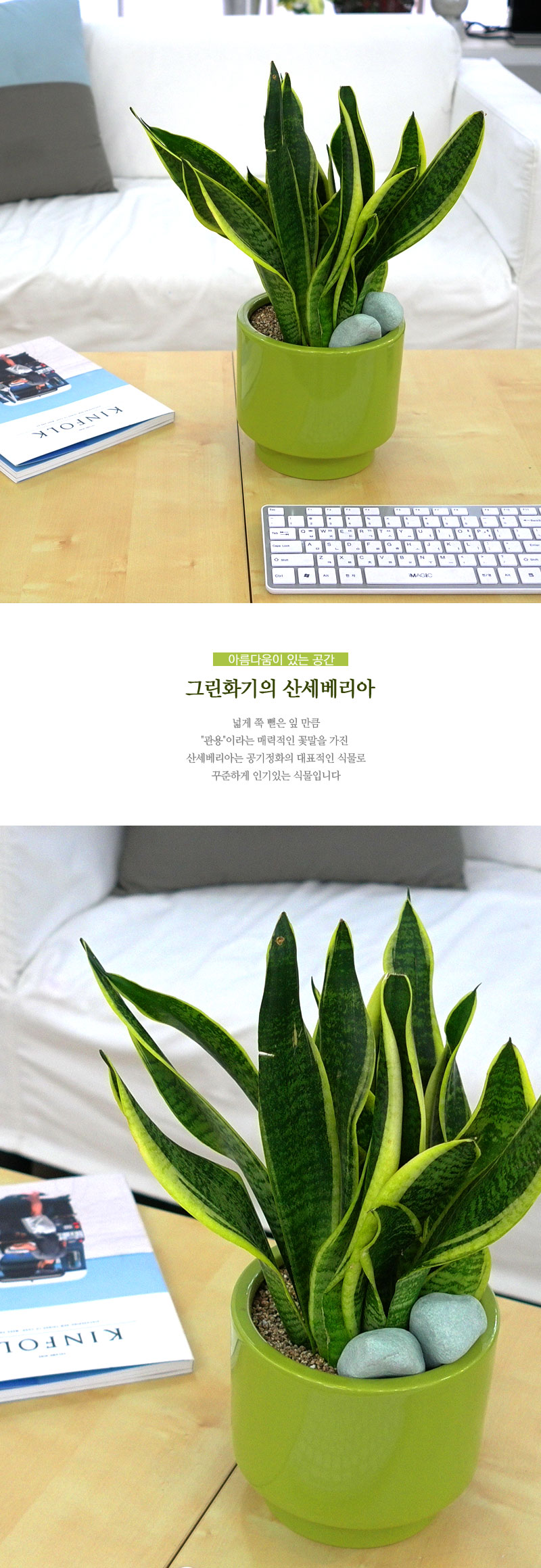 []Table deco. ׸ȭ 꼼 (* ȭ⺯)  ɹ