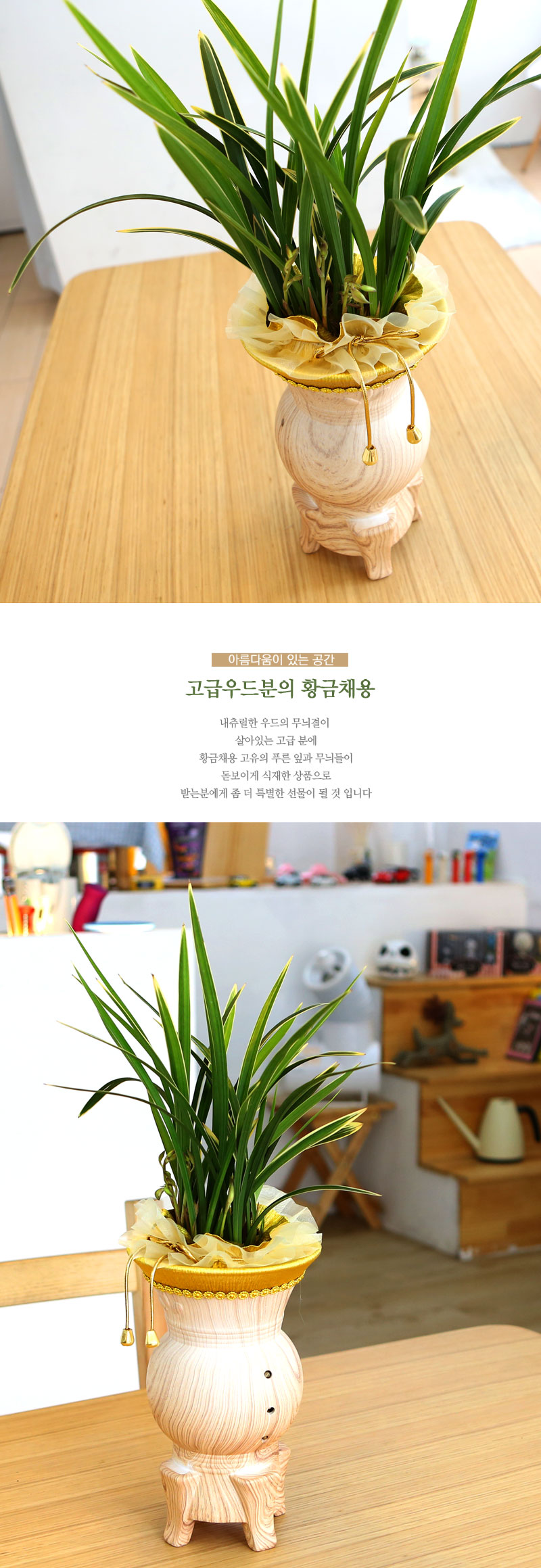 Ƹٿ ִ  -Ȳäȫ [ȭ⺯]  ɹ