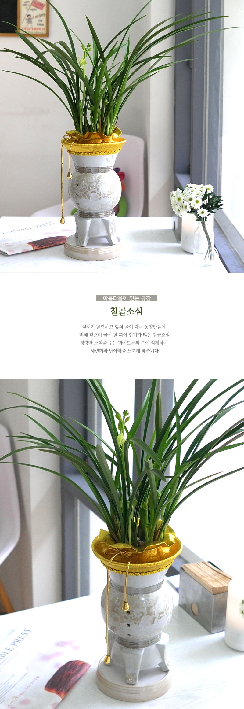 Ƹٿ ִ  - öҽ (ȭǰ)