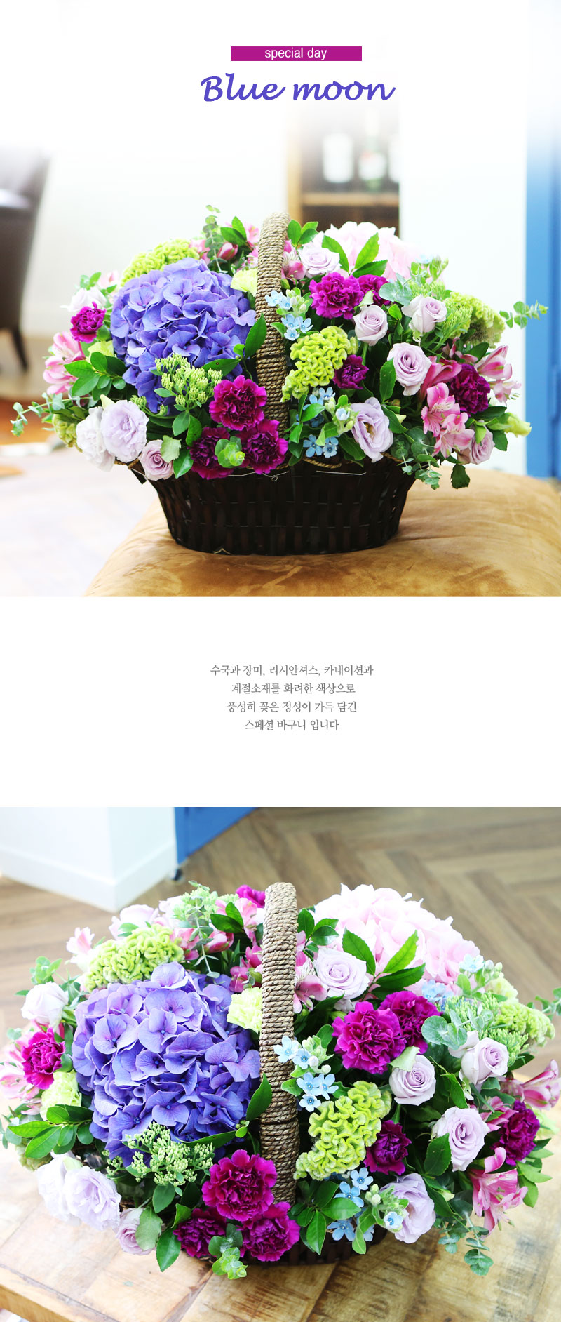 []special day-Blue moon  ɹ