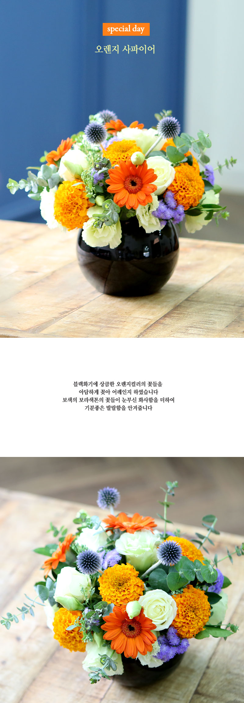 [ﱤ]special day- ̾(ȭ    ֽϴ)