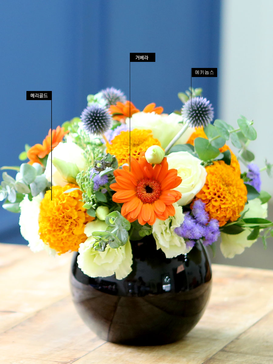 [ﱤ]special day- ̾(ȭ    ֽϴ)