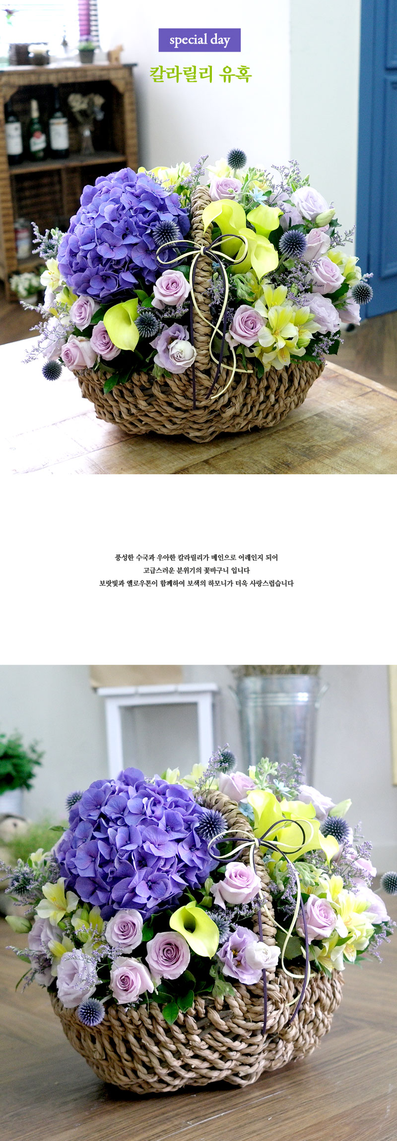 [ﱤ]special day - Į󸱸 Ȥ  ɹ