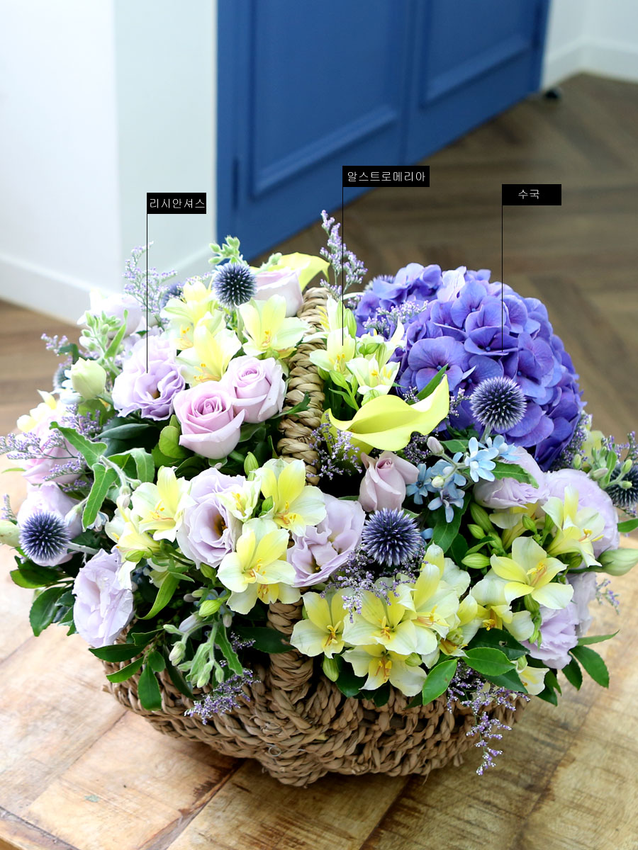 [ﱤ]special day - Į󸱸 Ȥ  ɹ