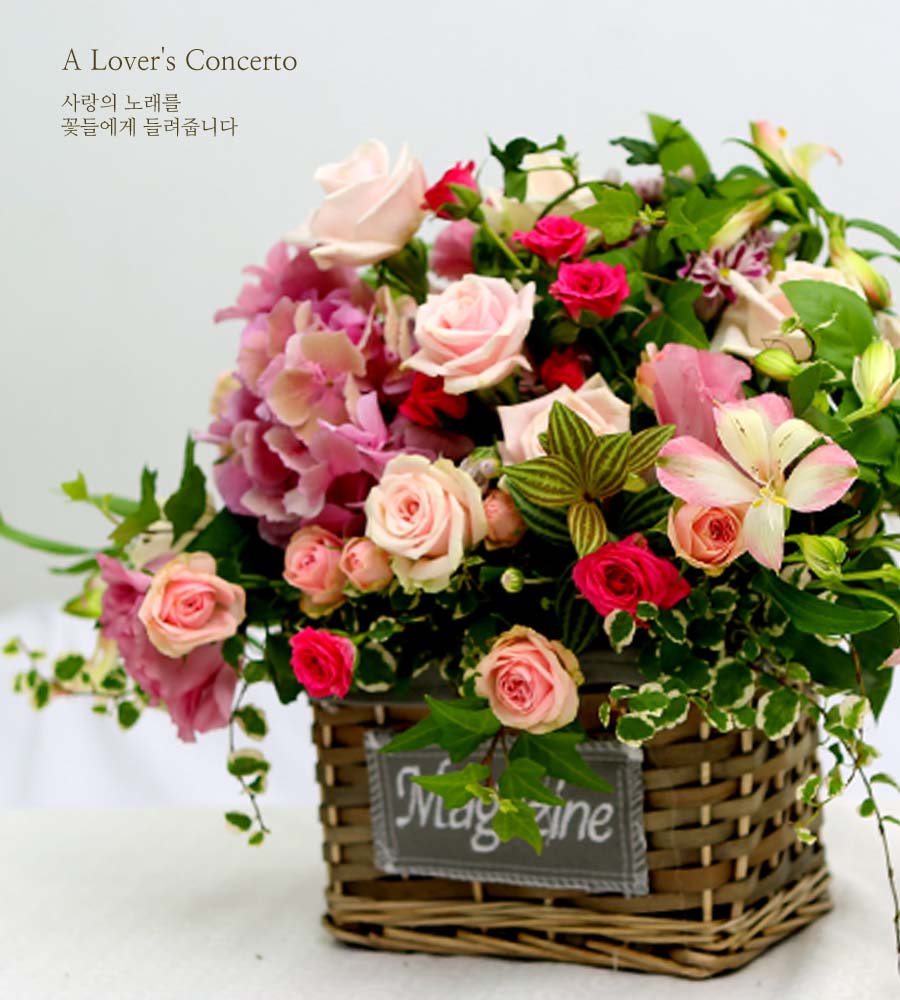 A Lover's Concerto  ɹ