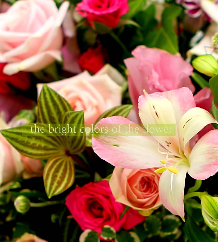 A Lover's Concerto  ɹ