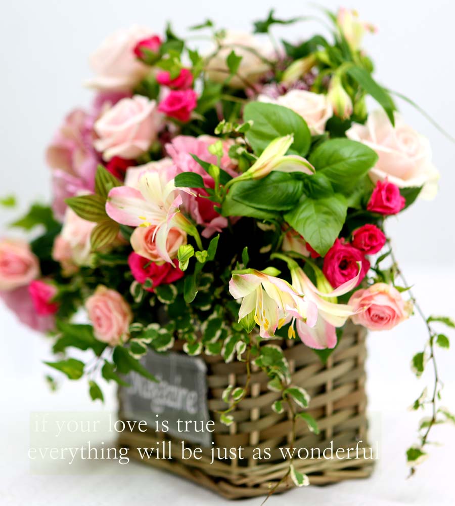 A Lover's Concerto  ɹ