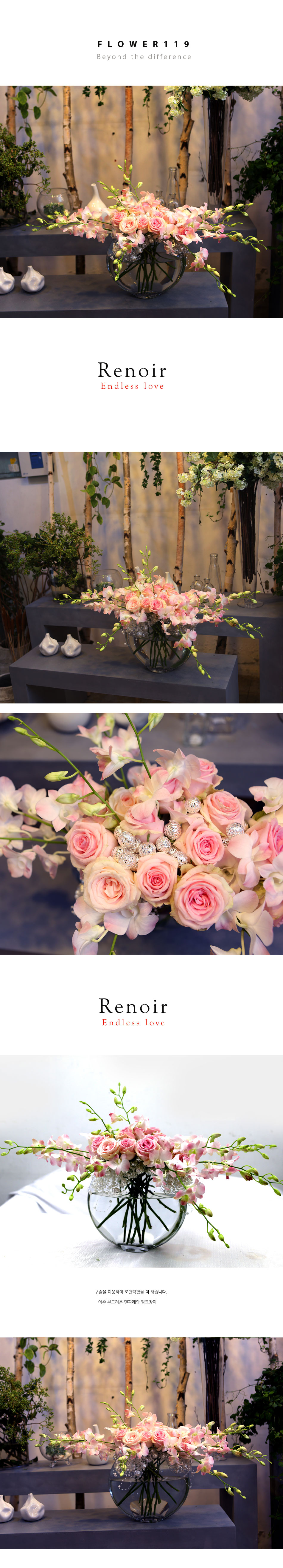 Endless love _ Renoir  ɹ