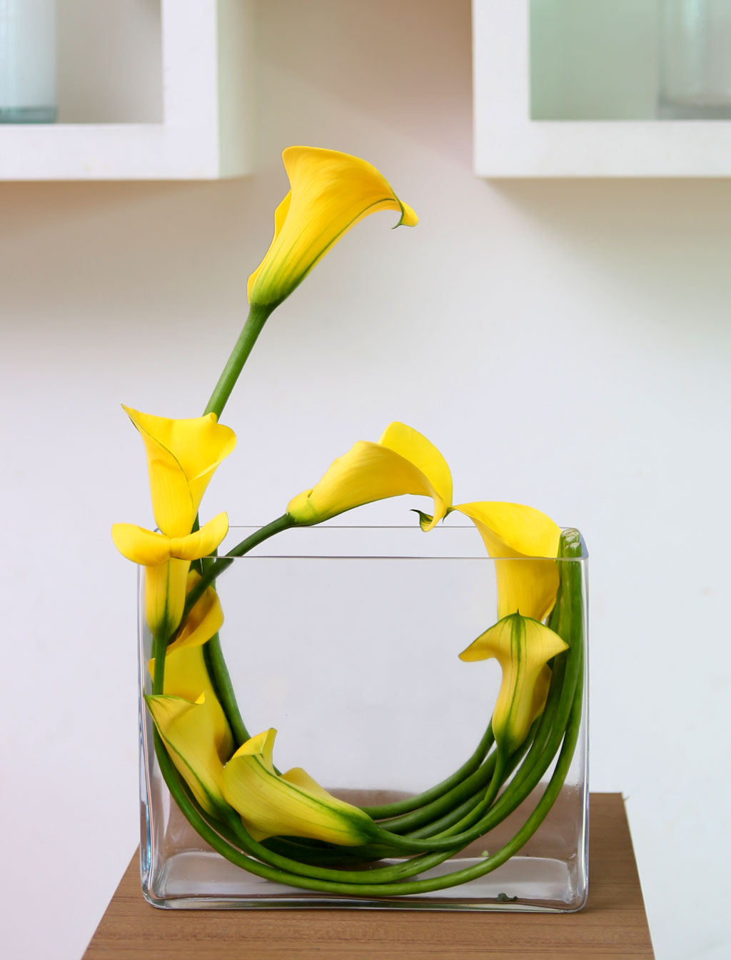 Flowers in harmony with container - Cala  ɹ