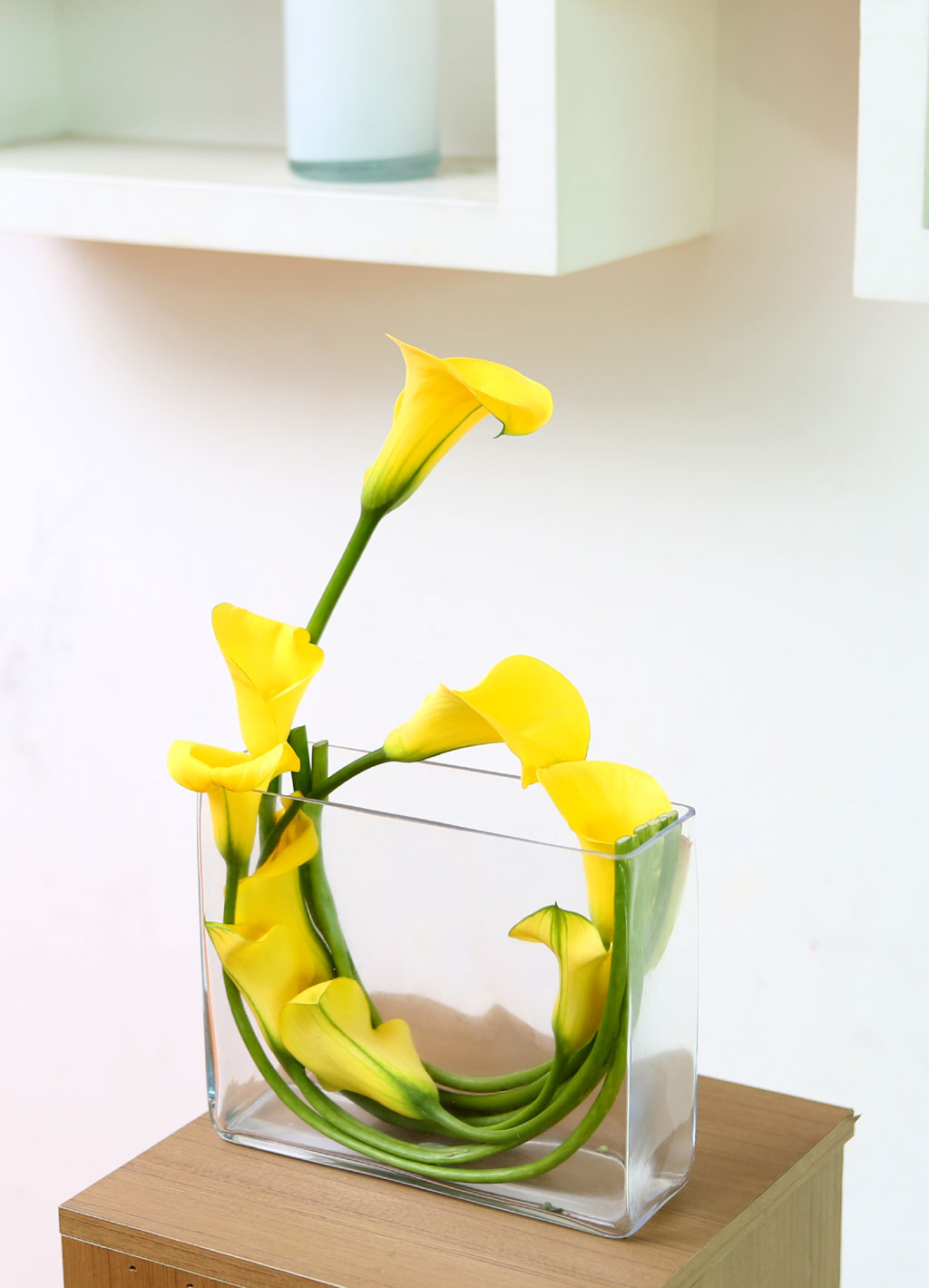 Flowers in harmony with container - Cala  ɹ