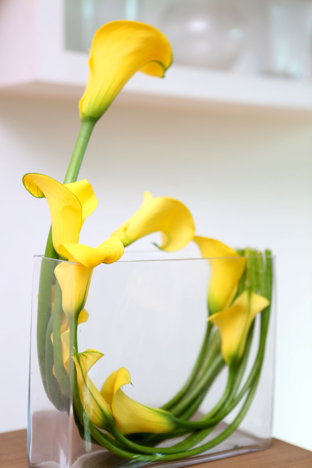 Flowers in harmony with container - Cala  ɹ