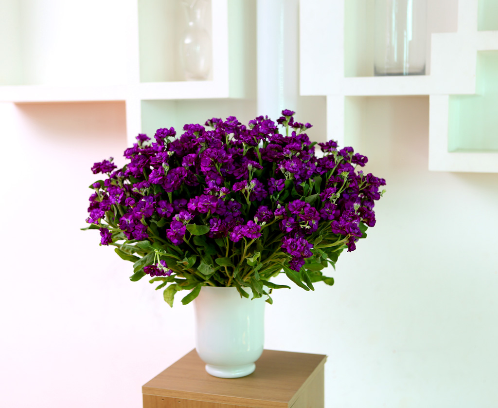 Flowers in harmony with container - Stock(ȭ ǰ   )