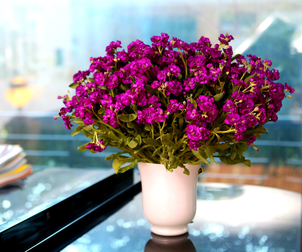 Flowers in harmony with container - Stock(ȭ ǰ   )