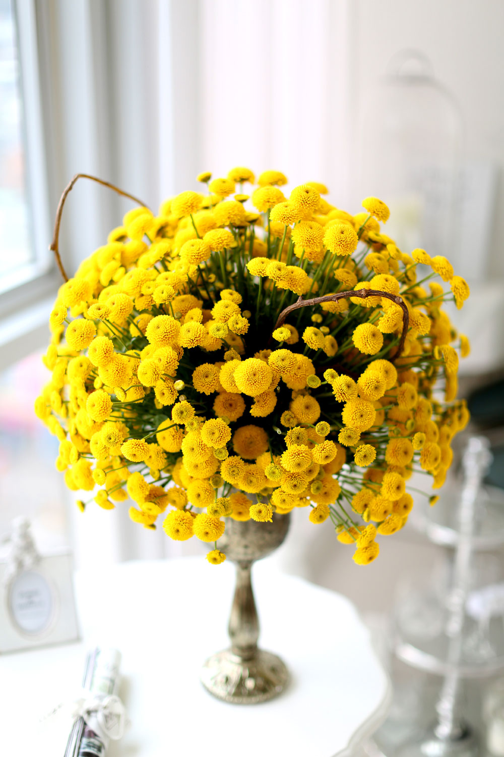 [/ Ϻ]ұ(ȭ ǰ   )  ɹ