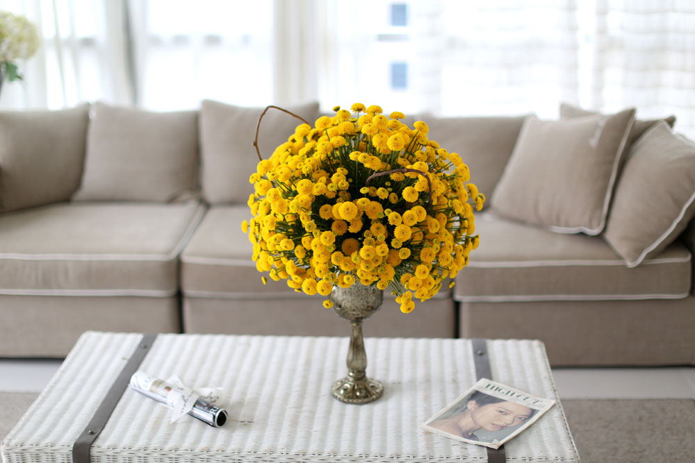 [/ Ϻ]ұ(ȭ ǰ   )  ɹ