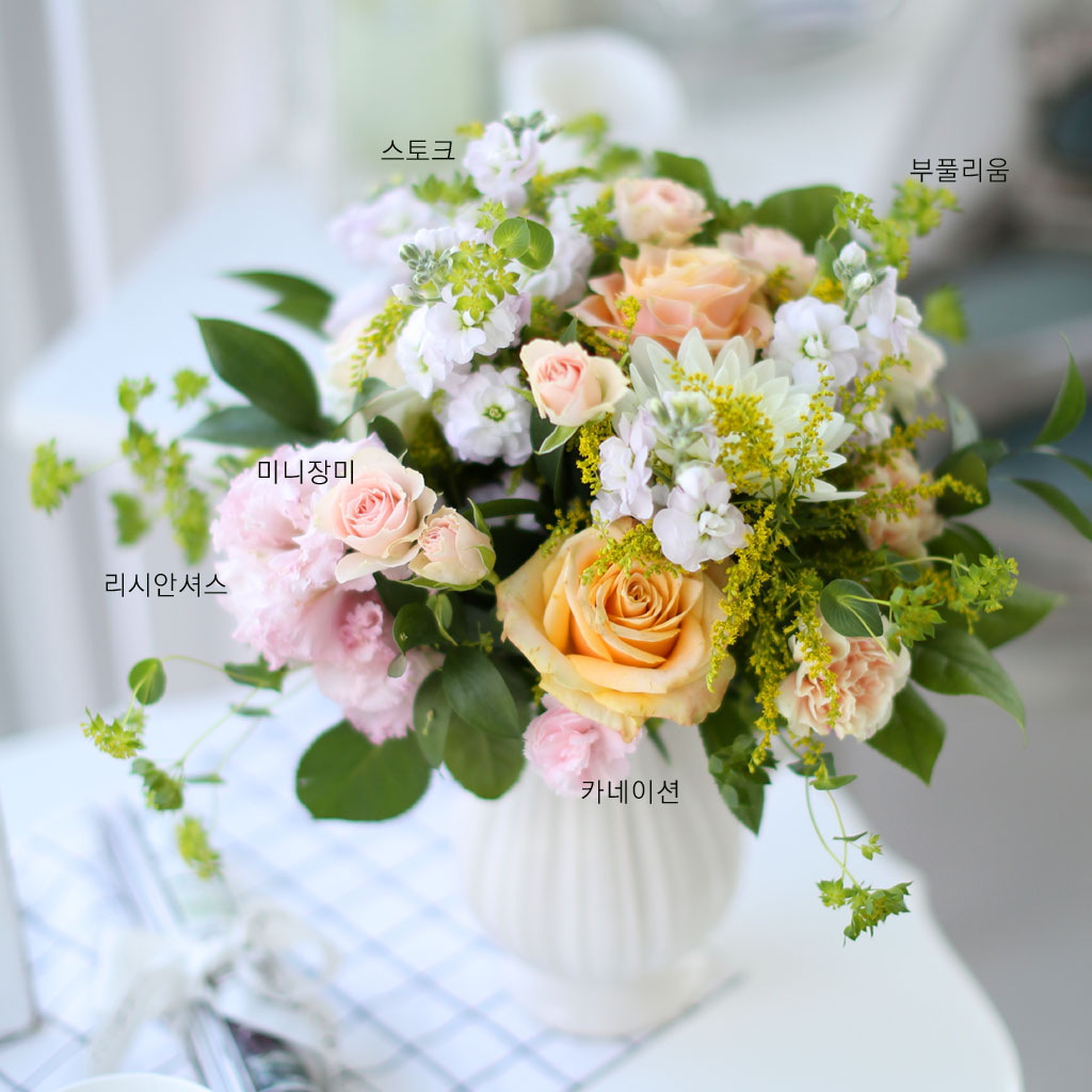 [/ǹ][ȭǰ] French style - Orange pastel