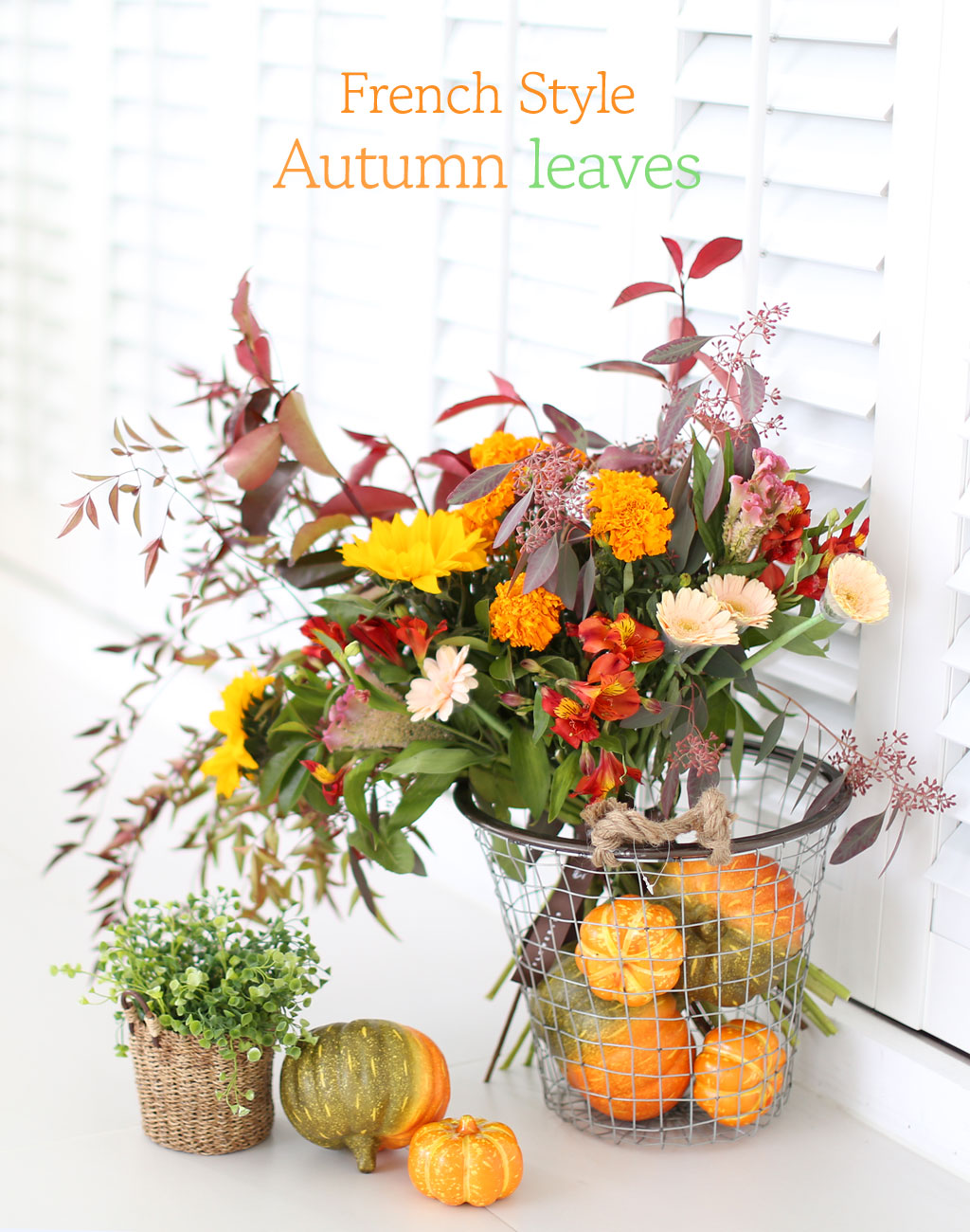 French style - Autumn leaves  ɹ