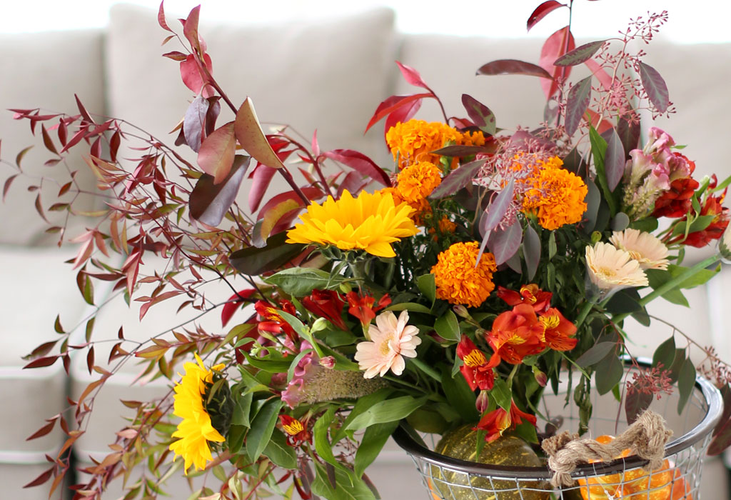 French style - Autumn leaves  ɹ