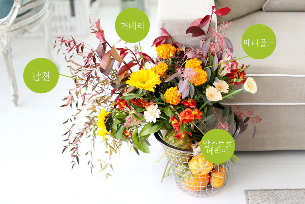 French style - Autumn leaves  ɹ