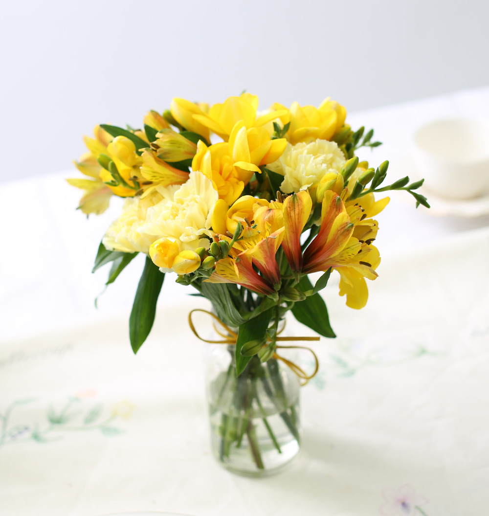 ������_ ������ Yellow sun ���� �ɹ��