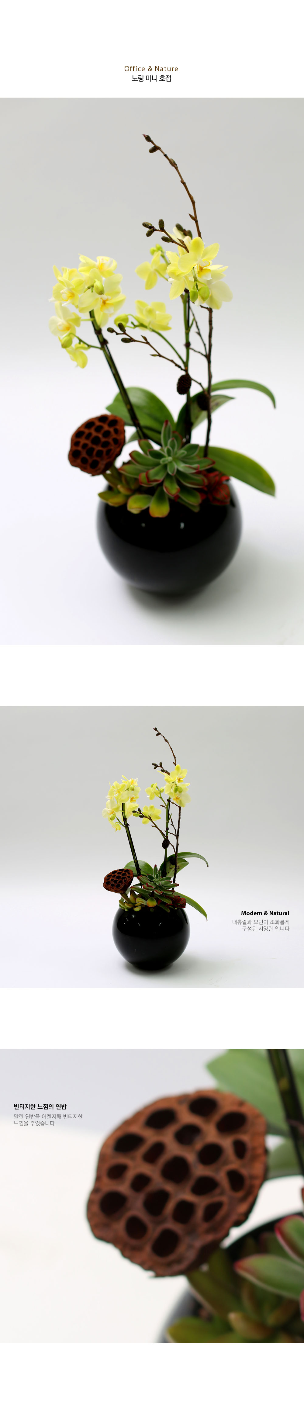 Office & Nature - ³ë¶û ¹Ì´Ï È£Á¢¶õ & ´ÙÀ° (¼Ò) ²ÉÁý ²É¹è´Þ