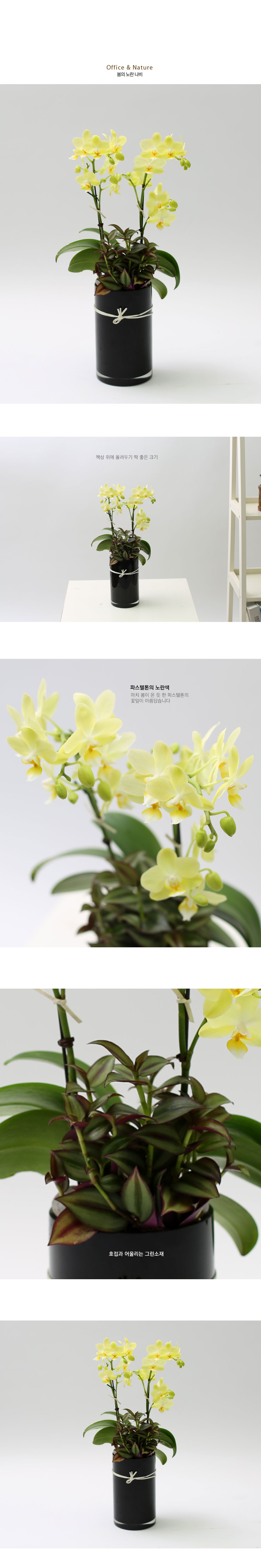 Office & Nature º½ÀÇ ³ë¶õ ³ªºñ ²ÉÁý ²É¹è´Þ