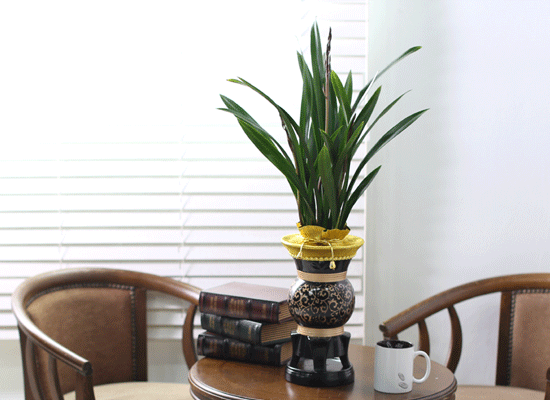 Office & Nature - õ  ɹ