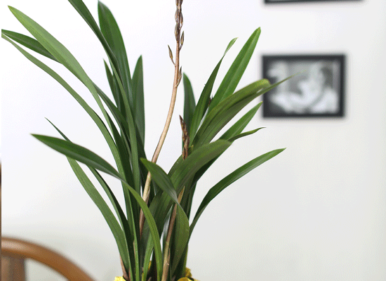 Office & Nature - õ  ɹ