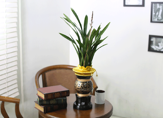 Office & Nature - õ  ɹ